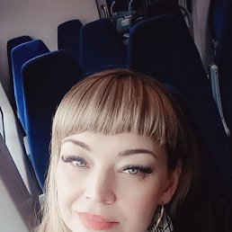 ���, 41 ���, ������