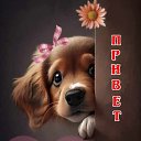 ���� ����, ����� - ��������� 8 ��� 2026 � ������ ������ ��������