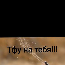 ���� �������, ������, 35 ��� - ��������� 23 ������� 2023