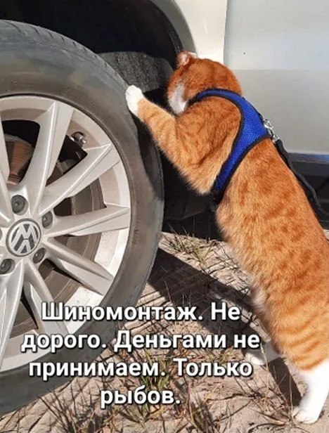 ☆������ �����☆ - 2 ������ 2026 � 20:20