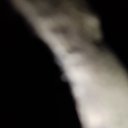 ���� ����, �����-���������, 35 ��� - ��������� 31 ������ 2024 � ������ ���� ����������