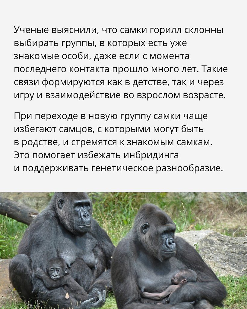 Отправь той самой - 3