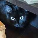 ���� �������, ����� - ��������� 16 ������ 2025 � ������ ������ ��������