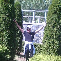 �����, ������