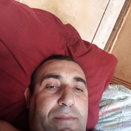 , 44, 