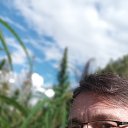 ���� ��������� �����, ���������, 44 ���� - ��������� 28 ���� 2025 � ������ ���� ����������