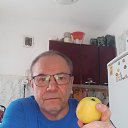 ���� �����, �����, 66 ��� - ��������� 17 ������ 2023 � ������ ���� ����������