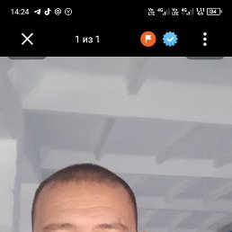 ����, 38 ���, ����������