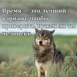 ���� ������, �����-���������, 60 ��� - ��������� 29 ��� 2026