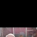 ���� �����, ���������, 42 ���� - ��������� 15 ������� 2026 � ������ ���� ����������