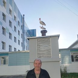 , 56 , 