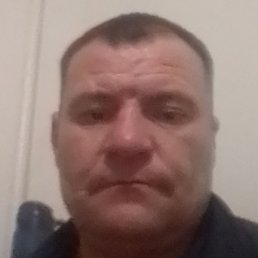 �����, �����������, 36 ���