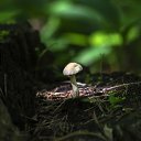 ���� �������, ������ - ��������� 18 �������� 2026 � ������ ������ ��������