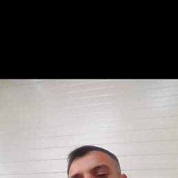 , 36, 