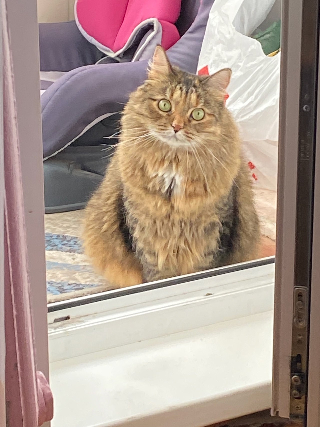 �������� - 21 ���� 2025 � 19:02