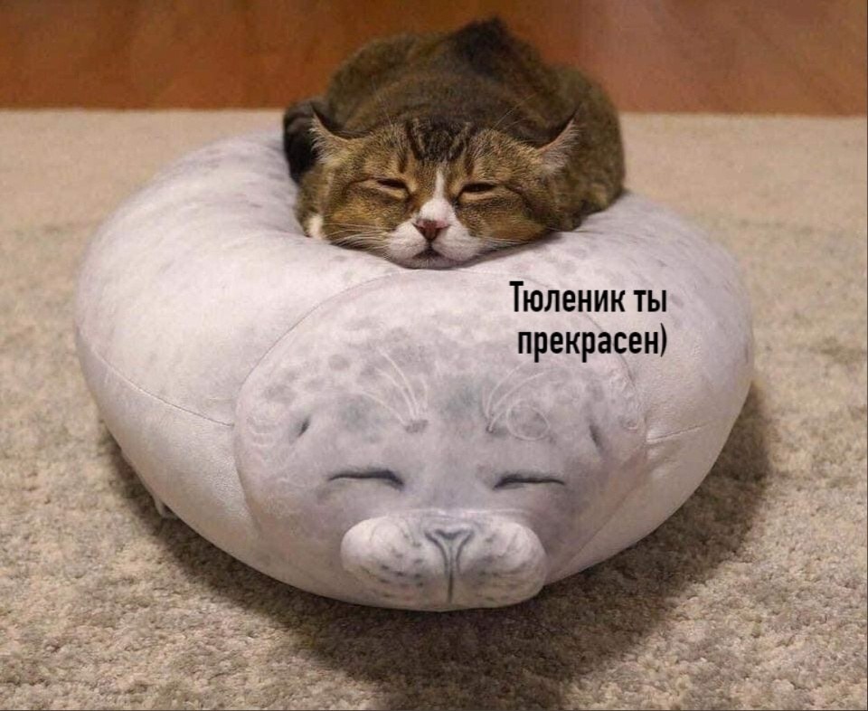  =>