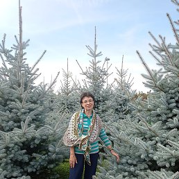 ������, ������, 63 ����