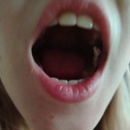 ���� ��������, ������, 19 ���