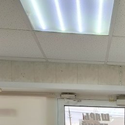 ��������, �������, 49 ���