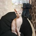 ���� ������, ������ - ��������� 13 ������ 2025 � ������ ������ ��������