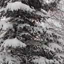 ���� Alik, ������, 56 ��� - ��������� 11 ������ 2024 � ������ ���� ����������