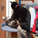 ���� �ocpucm, ������, 48 ��� - ��������� 15 ���� 2025 � ������ ������ ��������