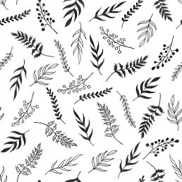 �����, ������������, 41 ���