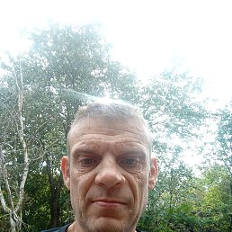 , 40, 
