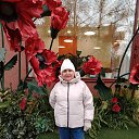 ���� �������, ��������, 63 ���� - ��������� 28 ������ 2025 � ������ ���� ����������