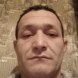 ����, �����-���������, 43 ����