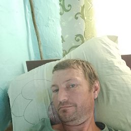 , 37, 