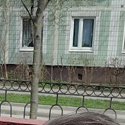 �����, 34 ����, ������