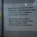 ���� ����, ������, 56 ��� - ��������� 29 ���� 2025 � ������ ������ ��������