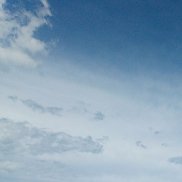 ��������, 38 ���, ������