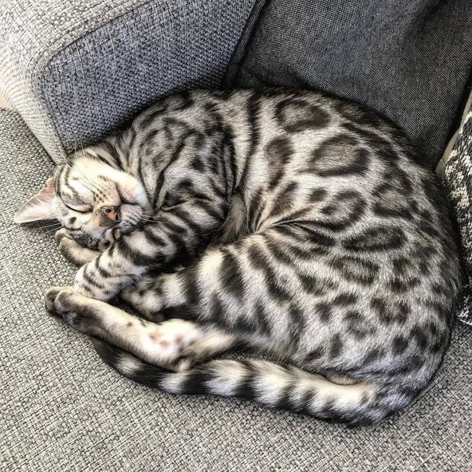 ��������� ���������) - 3