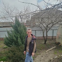 , 61, 