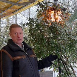 Marius, 55, 