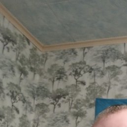 ����, ����, 48 ���