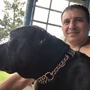 ���� ������, ��������, 37 ��� - ��������� 3 ������� 2026