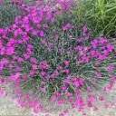 ���� ������, ����� - ��������� 13 ����� 2026 � ������ ���� ����������