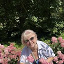 ����������� ������ ��� - ���� 2024