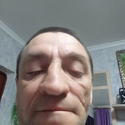 ����, ��������, 40 ���