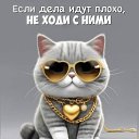 ���� �������� �����, ������, 71 ��� - ��������� 29 ��� 2026 � ������ ���� ����������