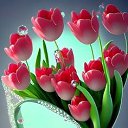 ���� �����, ������ - ��������� 8 ��� 2024 � ������ ���� ����������