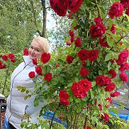  , 65 , 