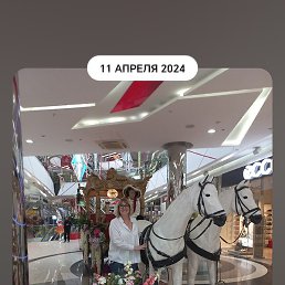, , 48 