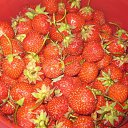 ���� ������, ��������, 38 ��� - ��������� 29 ������� 2025 � ������ ���� ����������