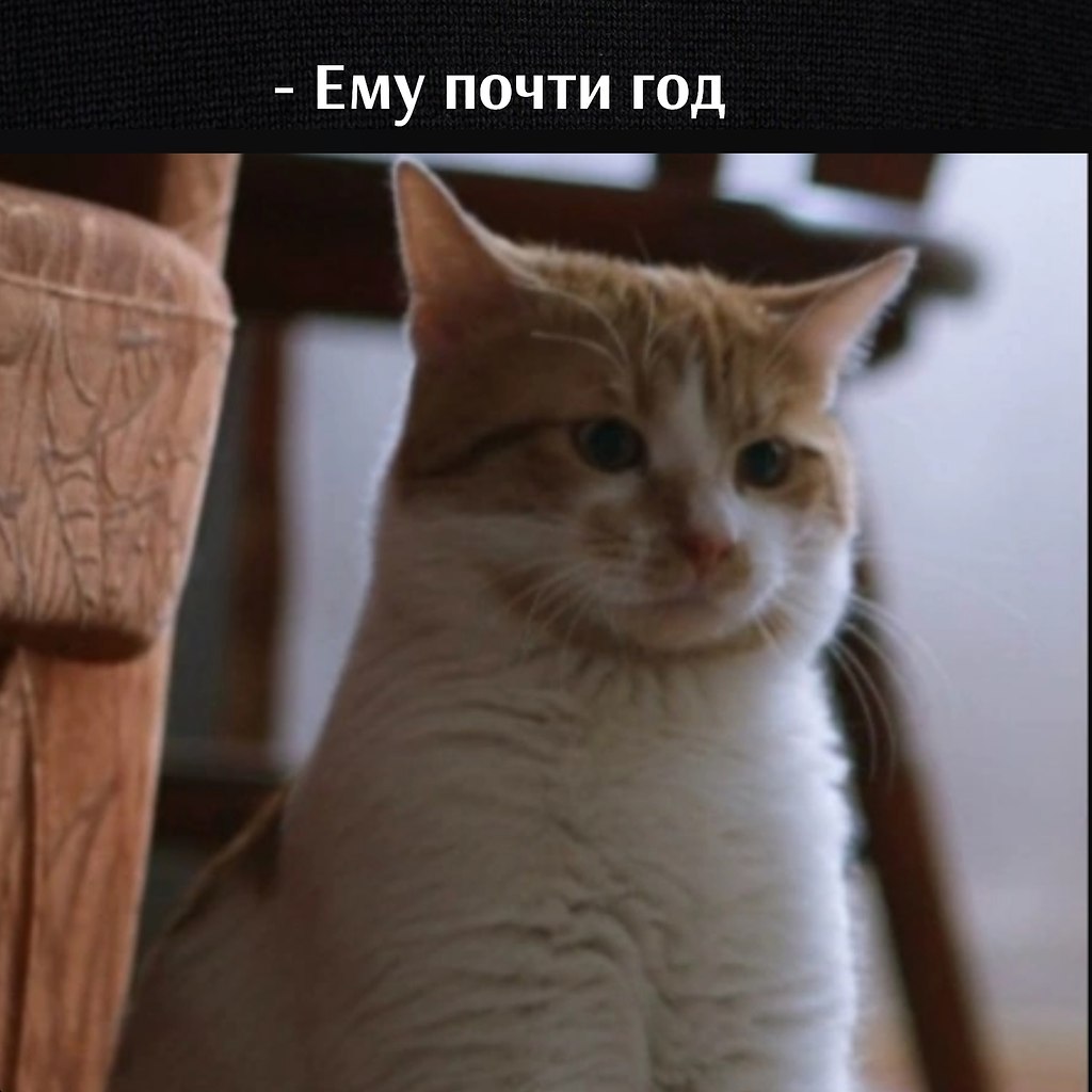       - 7  2025  16:58 - 2