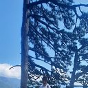 ���� ���������, �������, 45 ��� - ��������� 1 ������� 2025