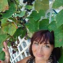 ���� ����, ������, 48 ��� - ��������� 3 ������� 2025 � ������ ���� ����������